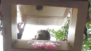 Lizanje azijskih jošk