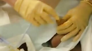 Prsata azijska Jade Kush s kitajskega kolidža se prepira z mesnatim šopkom