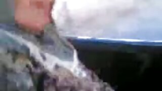 Rjavolaska piščanec zajebal na prostem