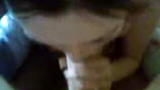 Vesel je, da vidi tiča